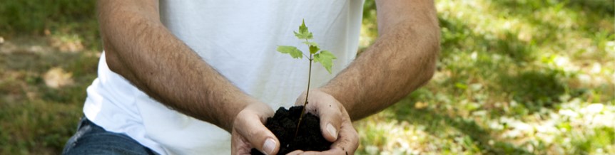 Close of hands holding soil and a sapling tree