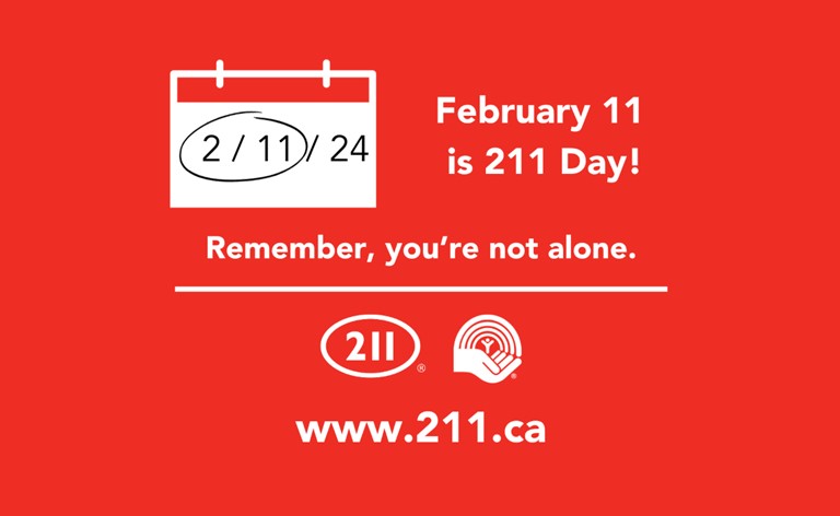 211 Day image