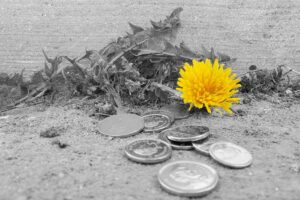 A dandelion grows in a crack in the sidewalk next to some spilled change.