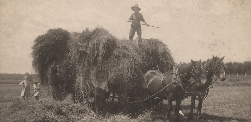 A vintage, sepia photograph of a farmer standing on a cart with a huge pile of hay.