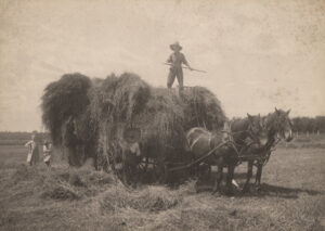 A vintage, sepia photograph of a farmer standing on a cart with a huge pile of hay.