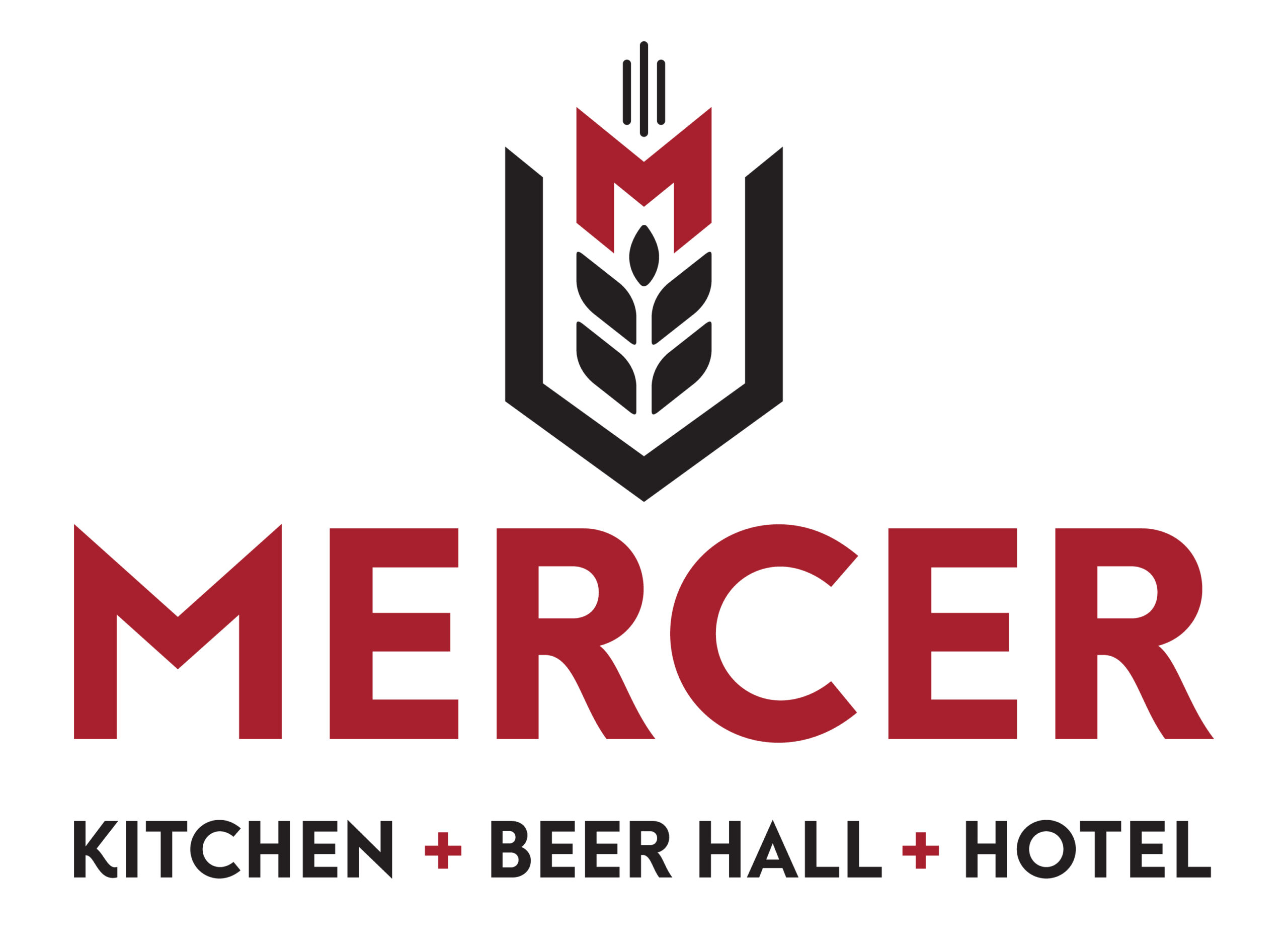Mercer Logo Blk